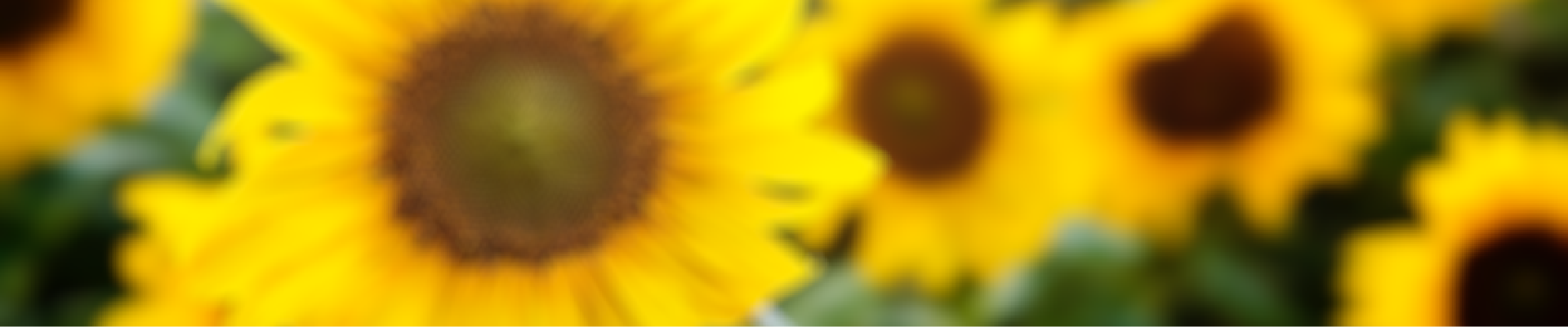 Desktop home picture